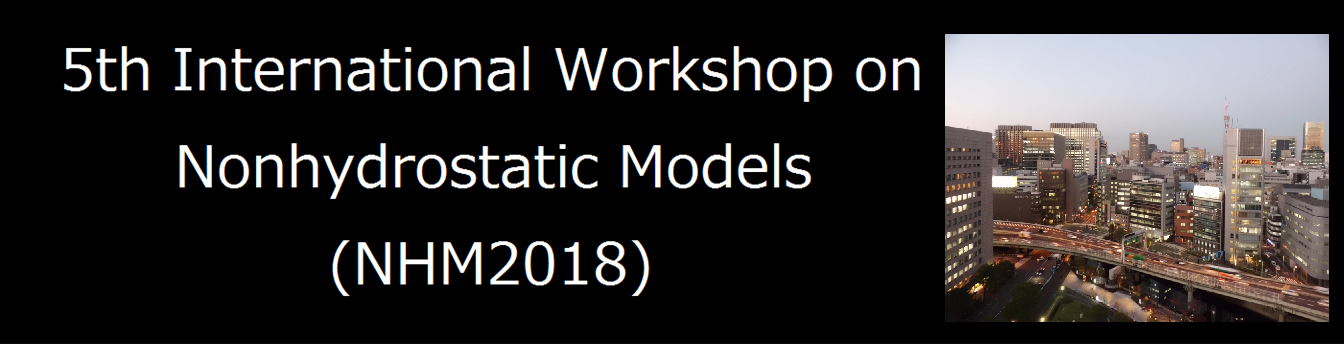 TITLE Non-hydrastatic models